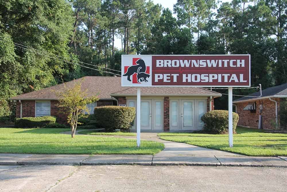 Brownswitch hospital
